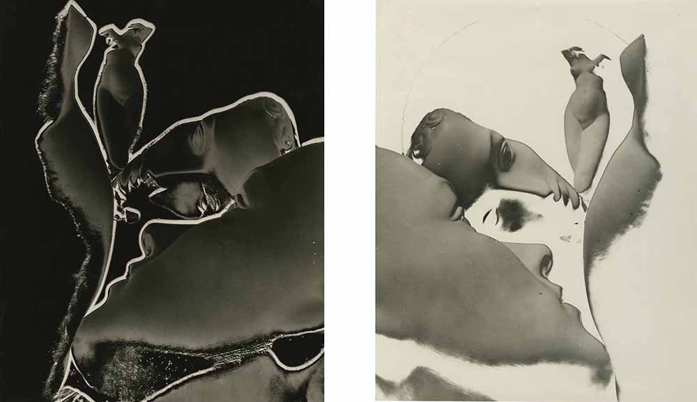 James Hamilton Brown - Solarizations, Blanc et Noir (Diptych)